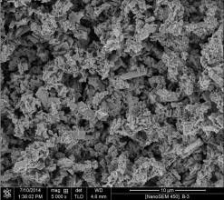 কণা আকার সঙ্গে নন ZSM-5 জিওলাইট 50 ~ 100nm Catalyst জন্য / Adsorbent