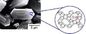 ZSM-22 উপযুক্ত পুঁচল স্ট্রাকচার / স্ট্রং সারফেস অক্সিডিয়া সঙ্গে আণবিক চালান